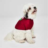 Team Тениска Dog T Shirt Wales Магазин за домашни любимци