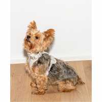 Wild One 2.0 Dog Harness Сиво Магазин за домашни любимци