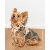 Wild One 2.0 Dog Harness Кафяво Магазин за домашни любимци