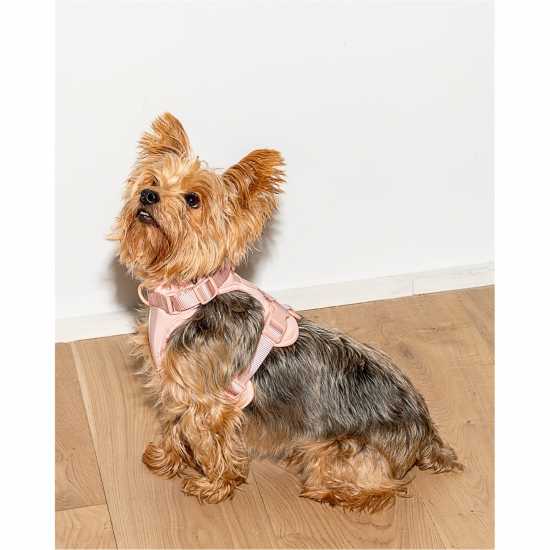 Wild One 2.0 Dog Harness Розово Магазин за домашни любимци