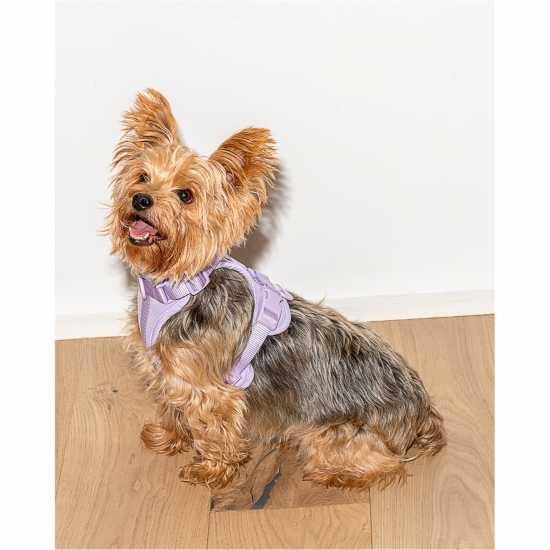 Wild One 2.0 Dog Harness Сиренево Магазин за домашни любимци