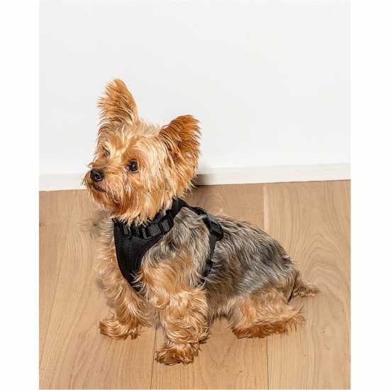 Wild One 2.0 Dog Harness Черно Магазин за домашни любимци