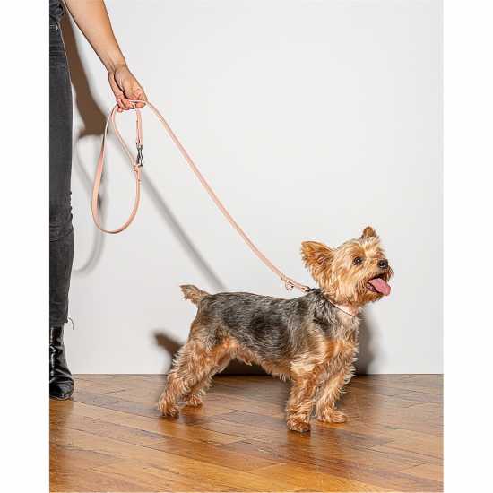 Магазин за домашни любимци Wild One Dog Lead Розово Wild One Dog Lead Розово Магазин за домашни любимци