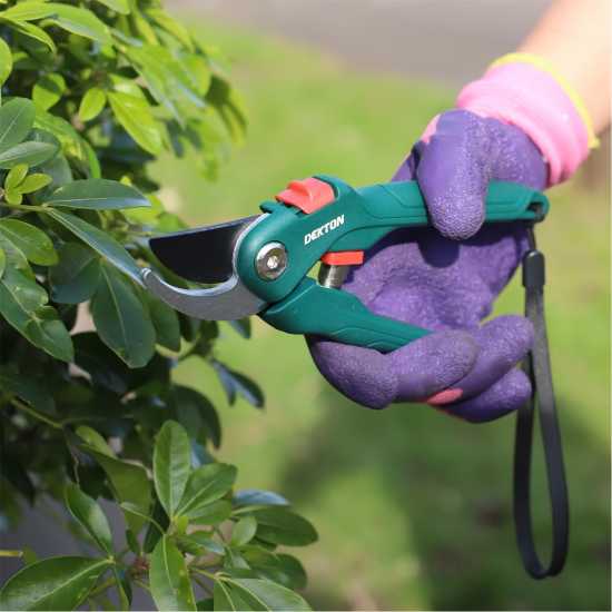 Dekton Bypass Garden Pruners  
