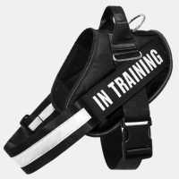 Pet Harness  