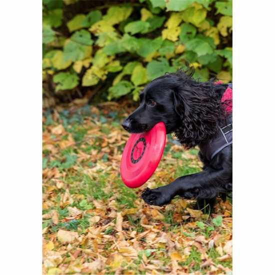 Trespaws Dog Tether 99  Магазин за домашни любимци