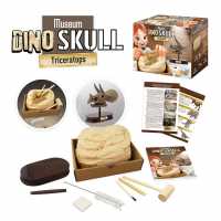 Buki France Triceratops Museum Skull  