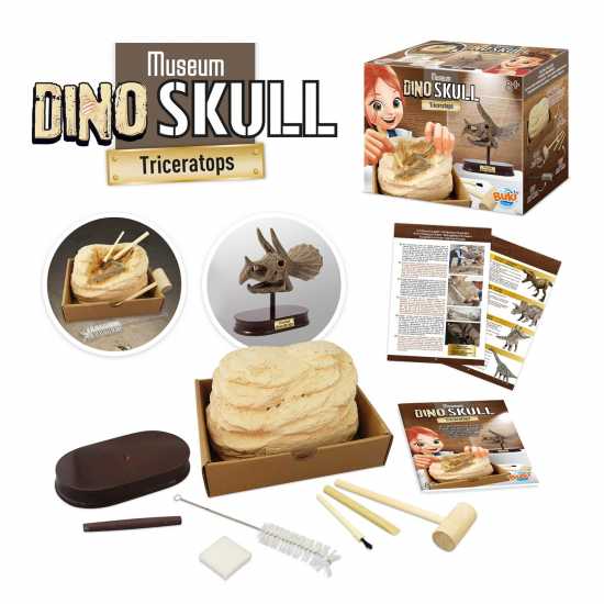 Buki France Buki Triceratops Museum Skull  