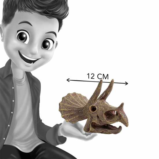 Buki France Buki Triceratops Museum Skull  