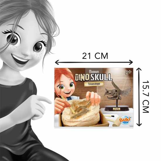 Buki France Buki Triceratops Museum Skull  