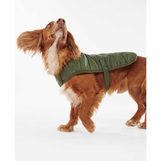Barbour Baffle Quilt Dog Coat Green 
