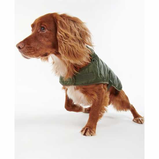 Barbour Baffle Quilt Dog Coat Green 