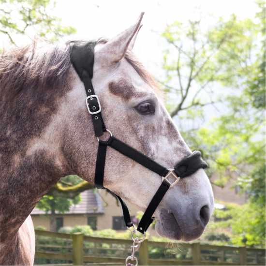 John Whitaker Whitaker Club Headcollar And Lead Rope Set Черно John Whitaker Whitaker Club Headcollar And Lead Rope Set Черно