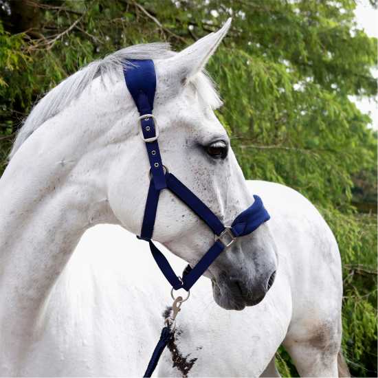 John Whitaker Whitaker Club Headcollar And Lead Rope Set Морска синьо John Whitaker Whitaker Club Headcollar And Lead Rope Set Морска синьо