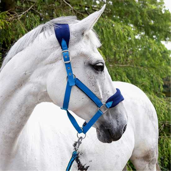 John Whitaker Whitaker Club Headcollar And Lead Rope Set Royal John Whitaker Whitaker Club Headcollar And Lead Rope Set Royal