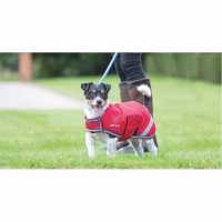 Digby And Fox And Fox Waterproof Dog Coat Red Магазин за домашни любимци
