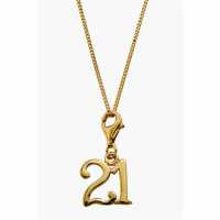 Silver Gold Plated '21' Necklace  Бижутерия