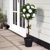 90Cm White Rose Tree  Градина