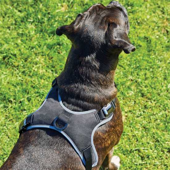 Weatherbeeta Elegance Dog Harness Черно Магазин за домашни любимци