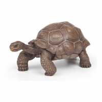 Wild Animal Kingdom Galapagos Tortoise Toy Figure  Подаръци и играчки