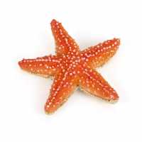 Marine Life Starfish Toy Figure  Подаръци и играчки