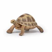 Wild Animal Kingdom Hermann's Tortoise Toy Figure