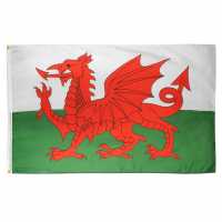 Team Flag Wales Футболни аксесоари