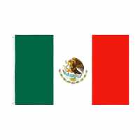 Team Flag Mexico Футболни аксесоари