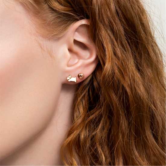 Radley Ry21682A Set Ld99  Часовници