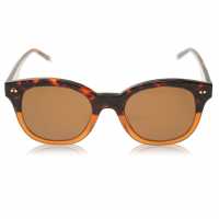 Calvin Klein Ck4354 Sunglasses Havana Brown Слънчеви очила