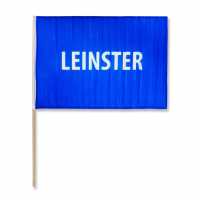 Official Hand Flag Leinster 