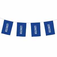 Official Bunting Leinster Футболни аксесоари