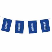 Official Gaelic Bunting Leinster 