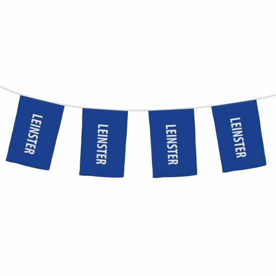 Official Gaelic Bunting Leinster 
