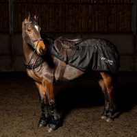 John Whitaker Jw Sydney Exsheet 99  
