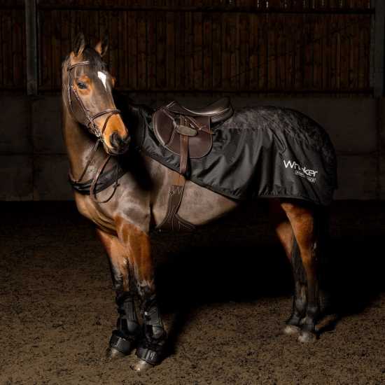 John Whitaker Jw Sydney Exsheet 99  