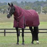 Weatherbeeta Comfitec Essential Detach-A-Neck 220G Burgundy Navy  