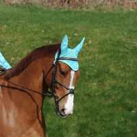Weatherbeeta Prime Marble Ear Bonnet Turquoise За коня
