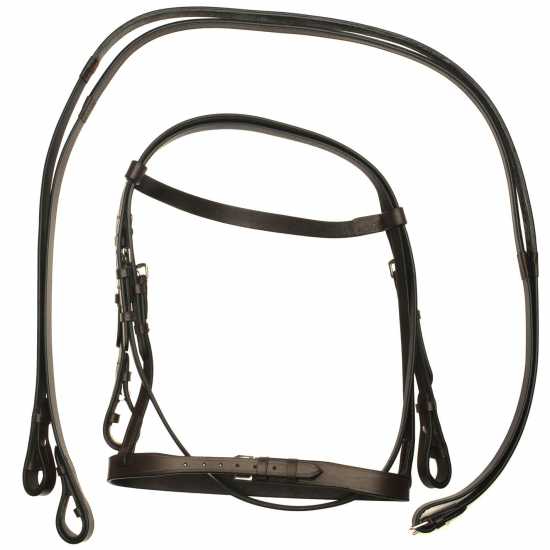Requisite Raised Bridle And Reins