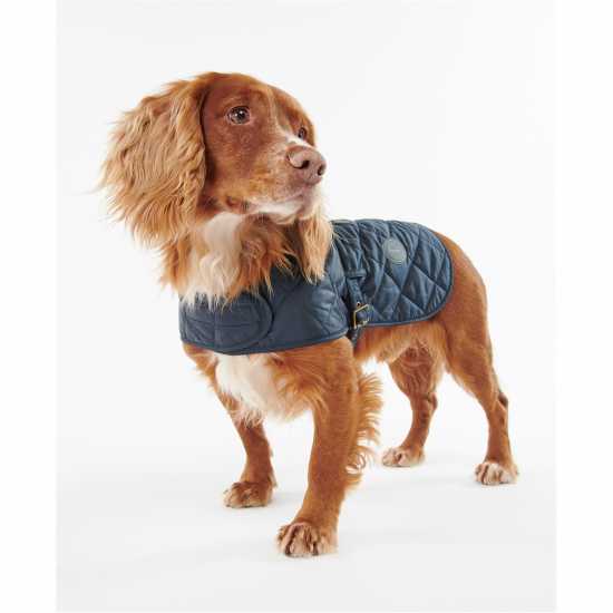 Barbour Quilted Dog Coat Navy NY52 