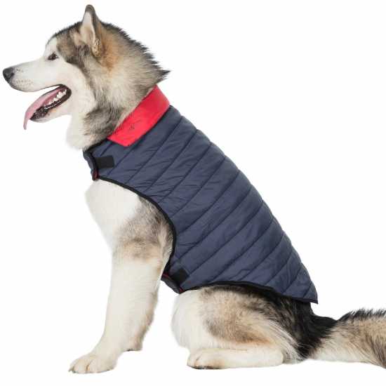 Trespaws Dog Jacket 99 Trespaws Dog Jacket 99