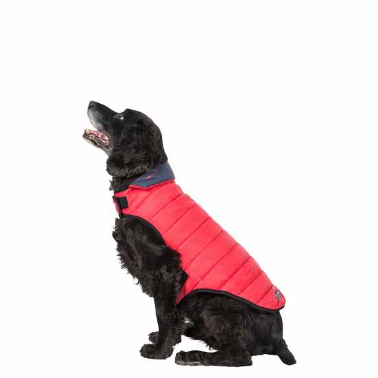 Trespaws Dog Jacket 99 Trespaws Dog Jacket 99