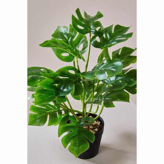 Homelife 28Cm Artificial Cheese Plant  Градина