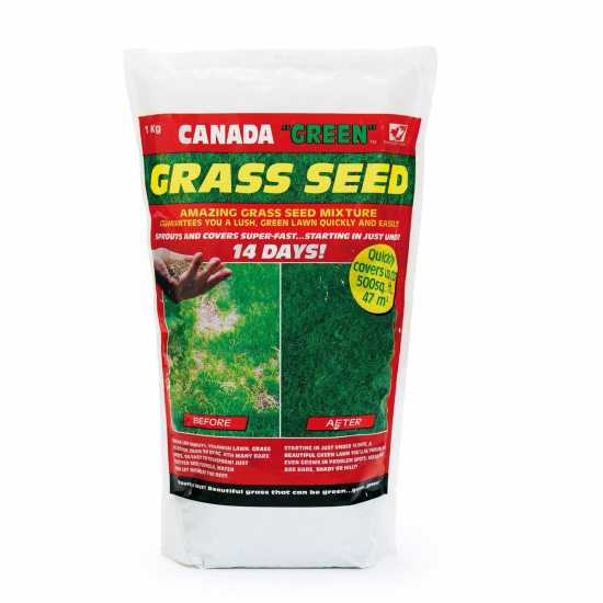 Canada Green Grass Seed  Градина