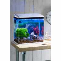 Studio Fish Tank With Led Light
