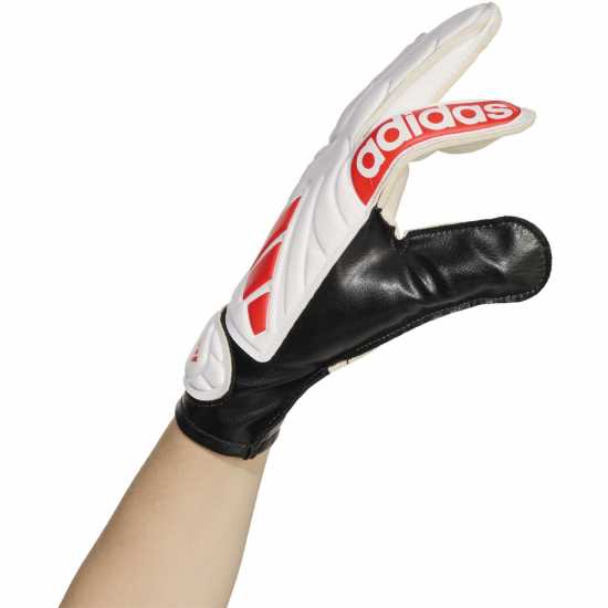 Adidas Copa Gl Clb J Jn99 Adidas Copa Gl Clb J Jn99