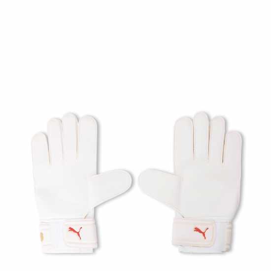 Puma Mestre (Gk) Gloves Unisex Adults  