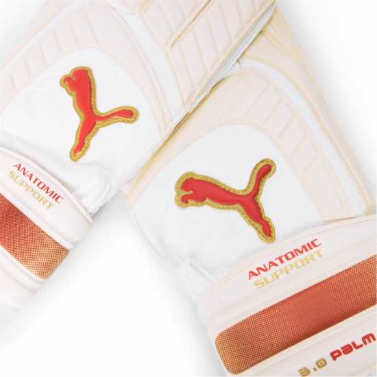 Puma Mestre (Gk) Gloves Unisex Adults  