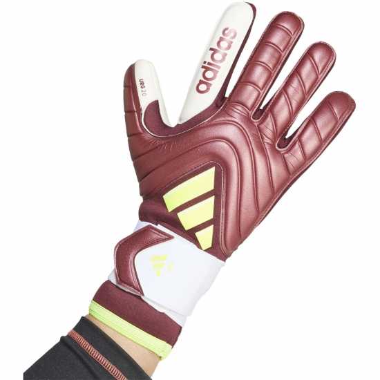 Вратарски ръкавици и облекло Adidas Вратарски Ръкавици Copa Pro Goalkeeper Gloves Adults Червено/Бяло Adidas Вратарски Ръкавици Copa Pro Goalkeeper Gloves Adults Червено/Бяло Вратарски ръкавици и облекло