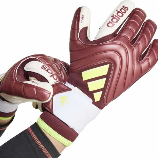 Вратарски ръкавици и облекло Adidas Вратарски Ръкавици Copa Pro Goalkeeper Gloves Adults Червено/Бяло Adidas Вратарски Ръкавици Copa Pro Goalkeeper Gloves Adults Червено/Бяло Вратарски ръкавици и облекло
